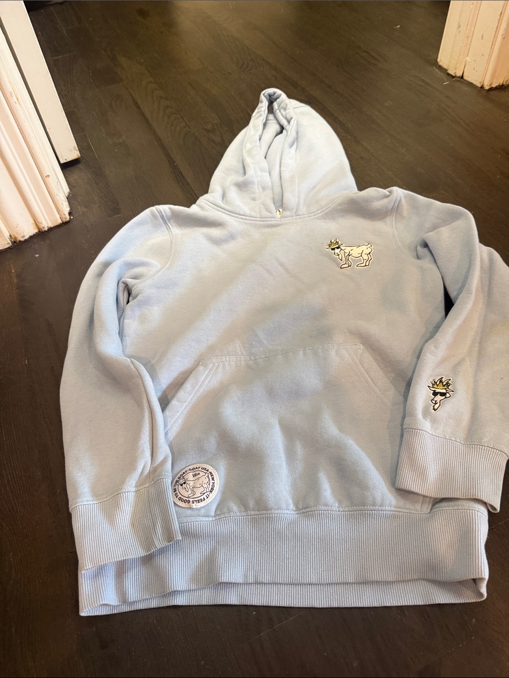 GOAT Light Blue Kids Hoodie Sweatshirt - Soft Pullover Hooded Jacket